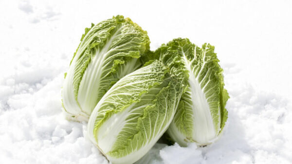    Фото: istockphoto.com