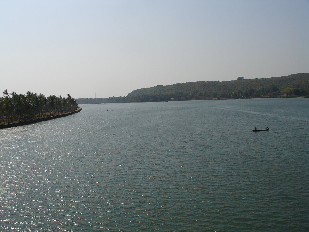 Река Чапора... тут клюёт! 