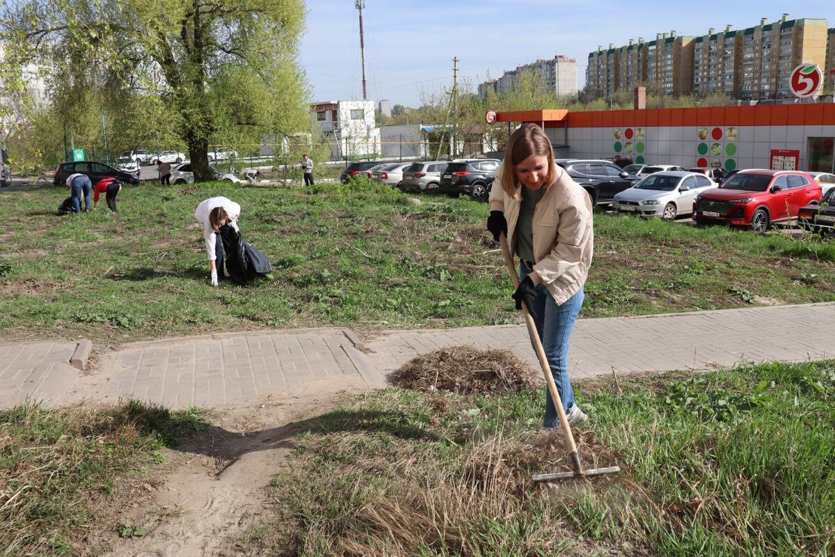    В Курске снова проходят субботники