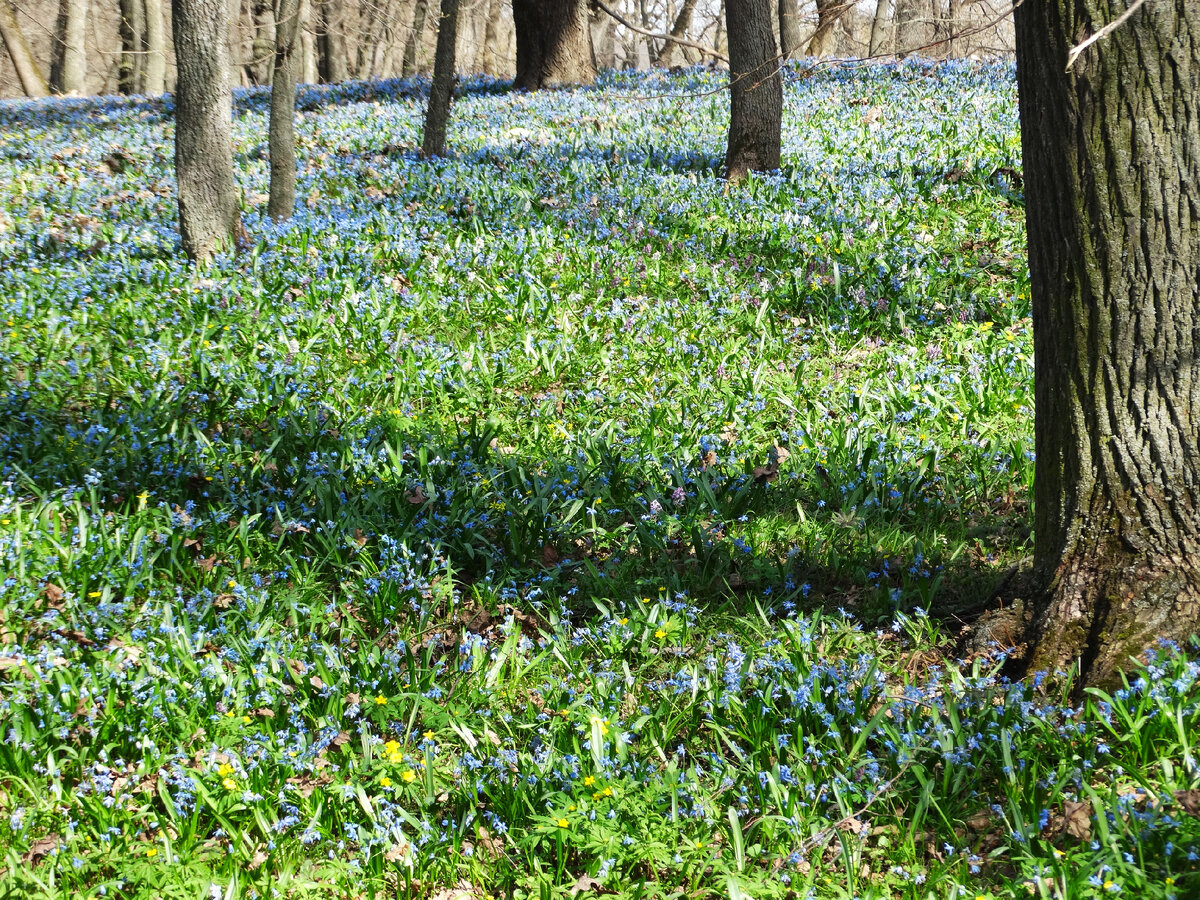 Все фото в статье - авторские