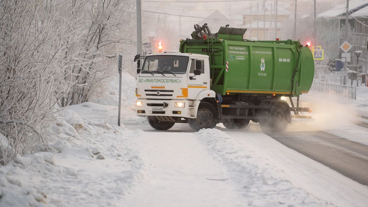 Вывоз мусора возобновился в Новом Уренгое после транспортного коллапса |  Время Новостей | Дзен