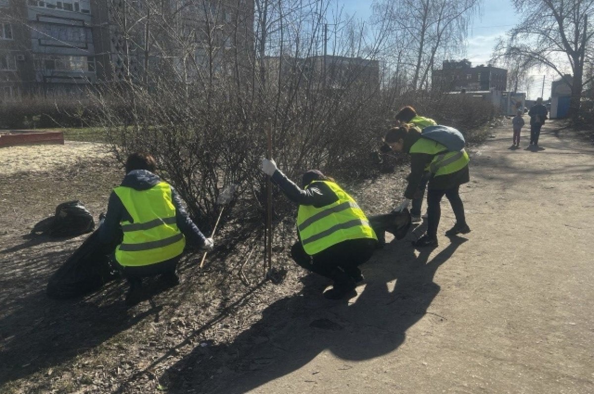    Участники санитарной пятницы очистили Ульяновск от 556 кубометров мусора