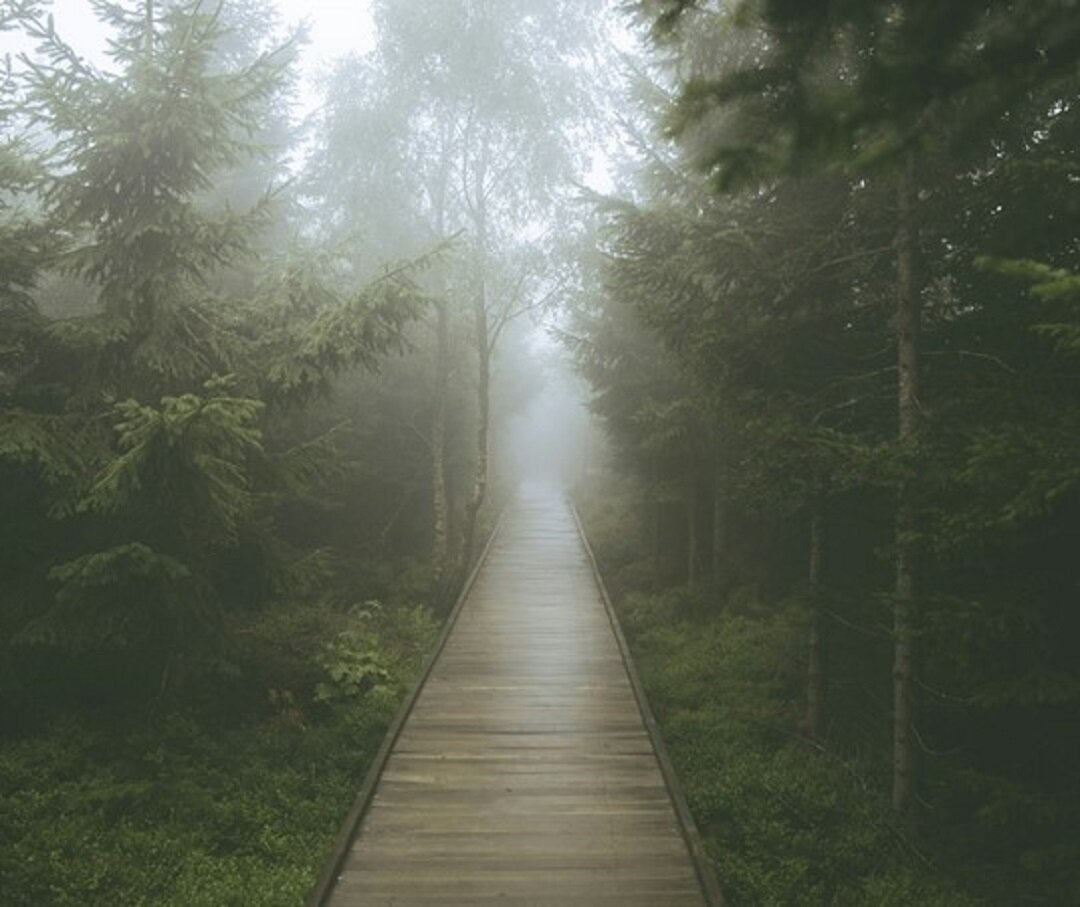 Источник: https://unsplash.com/