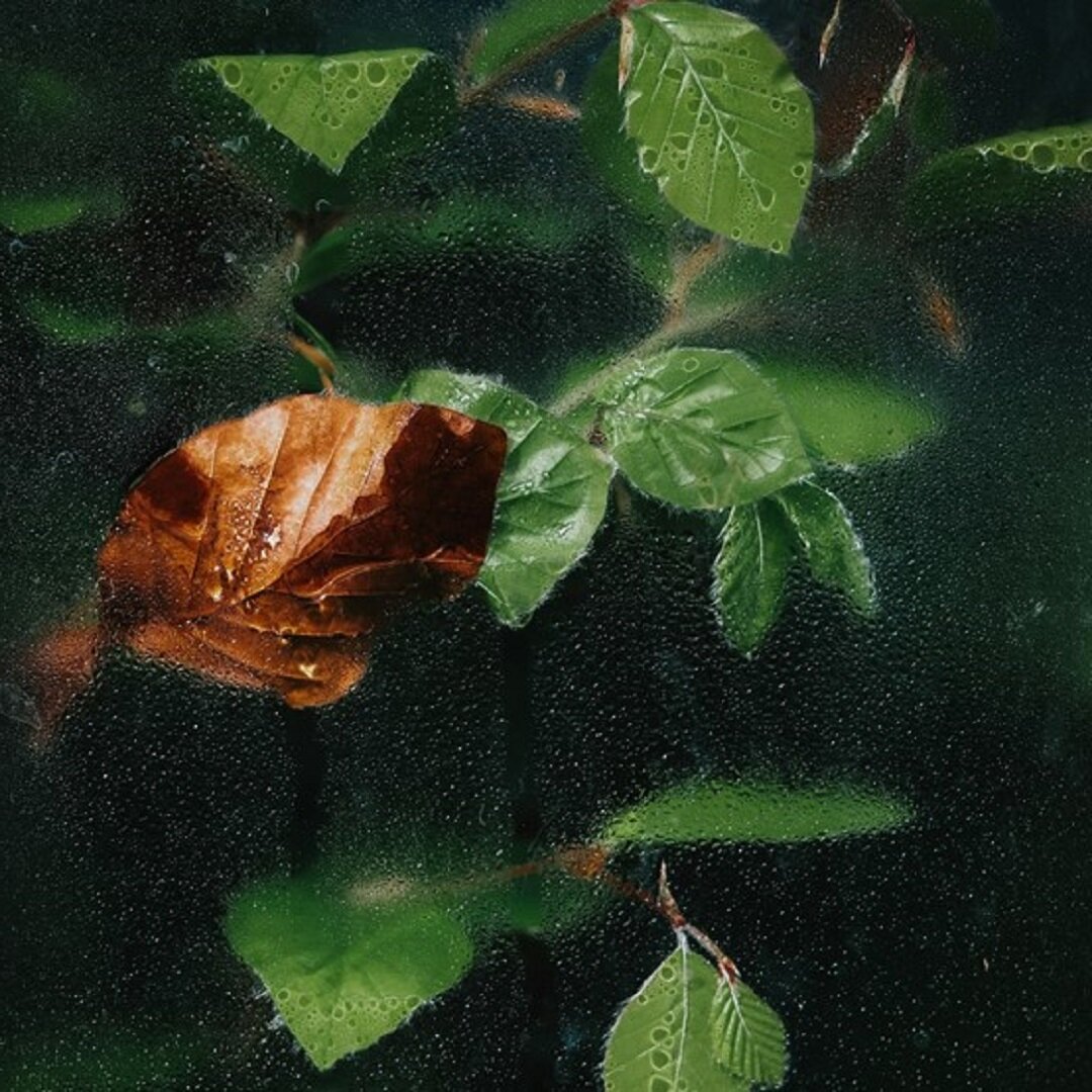 Источник: https://unsplash.com/