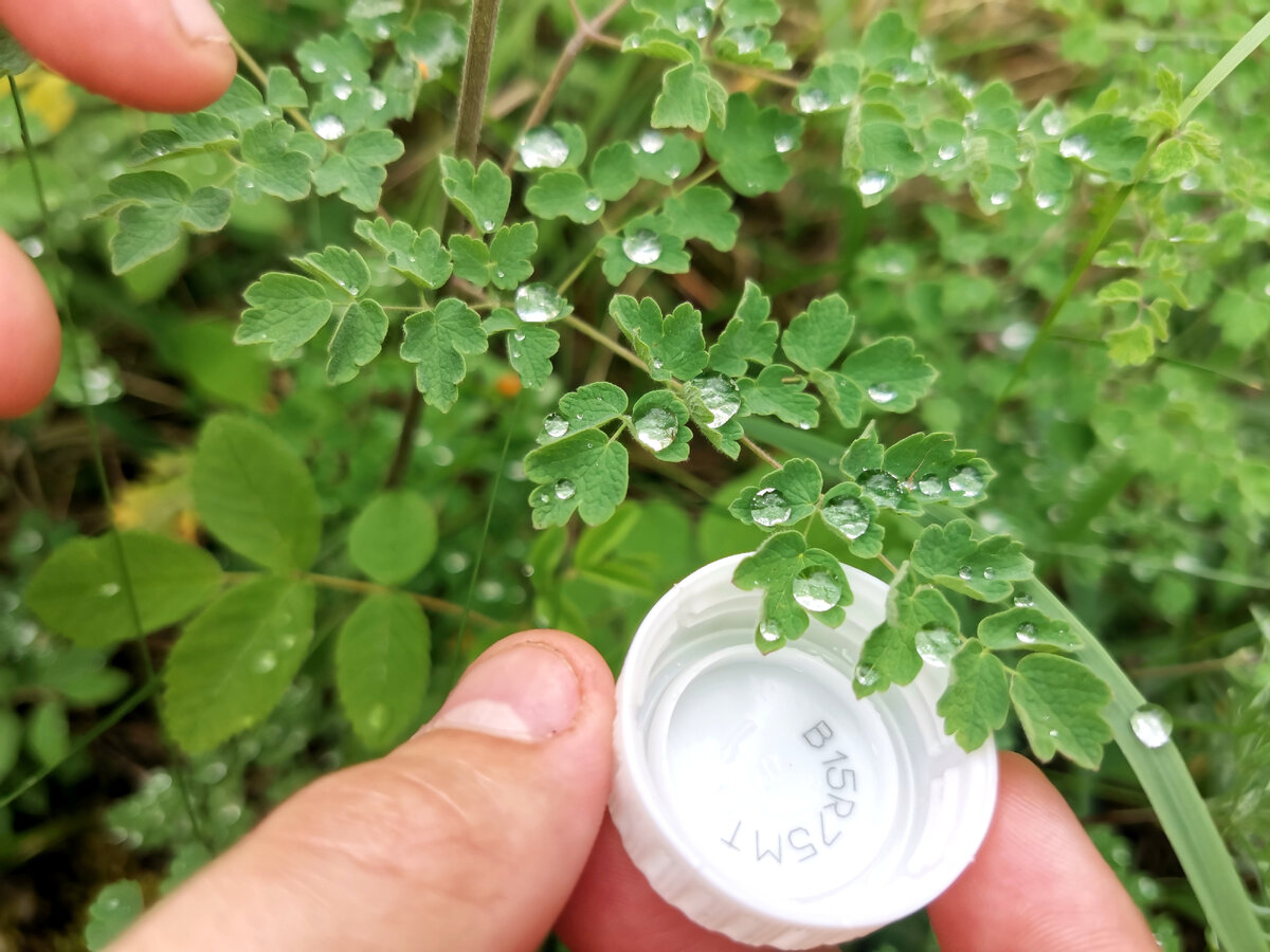 Фото автора канала 