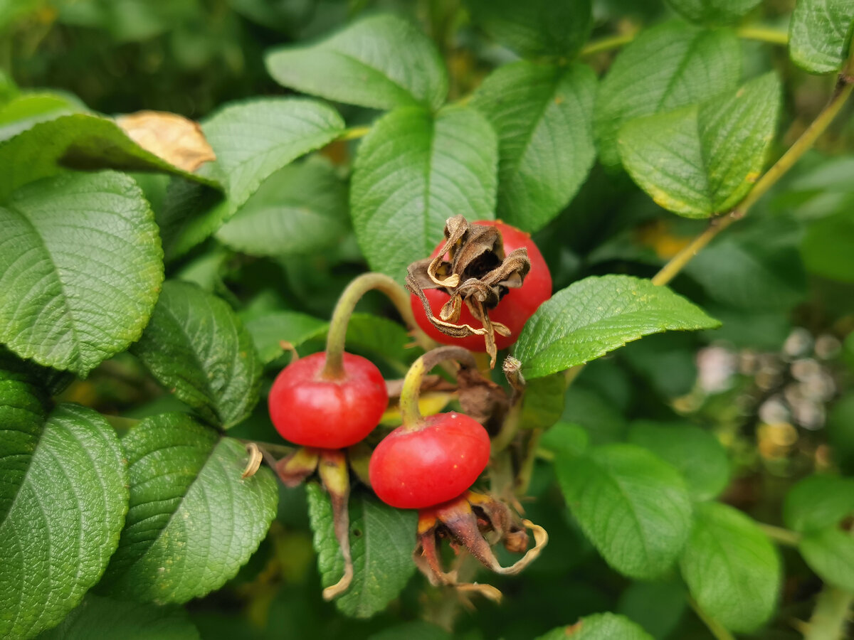 Фото автора канала 