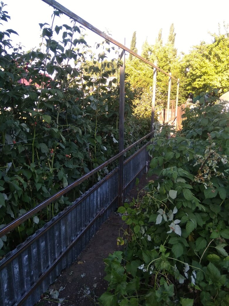 Опалубка из профнастила со стороны соседей