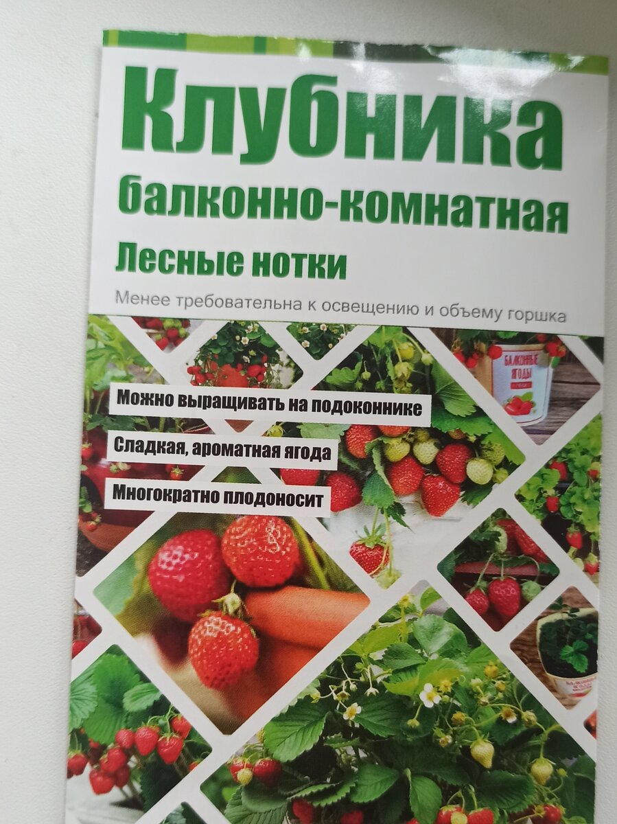 Купила семена - себе буду выращивать клубнику на подоконнике 😁