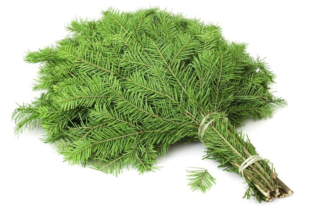 Хвойный веник