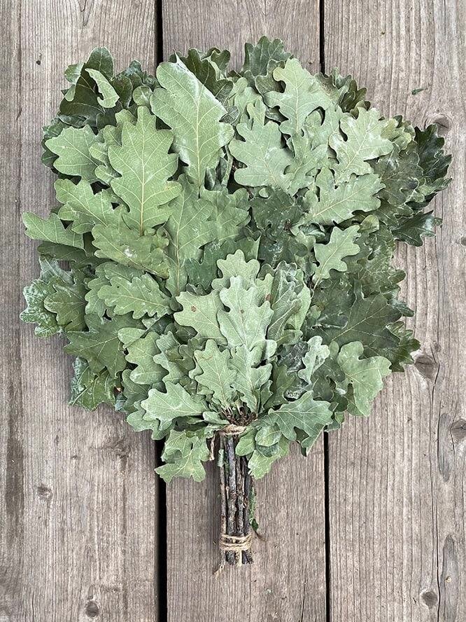 Веник для бани. Веник банный (дуб 2021). Дубовый веник кавказский. Веник дубовый 2022. Венки для бани.