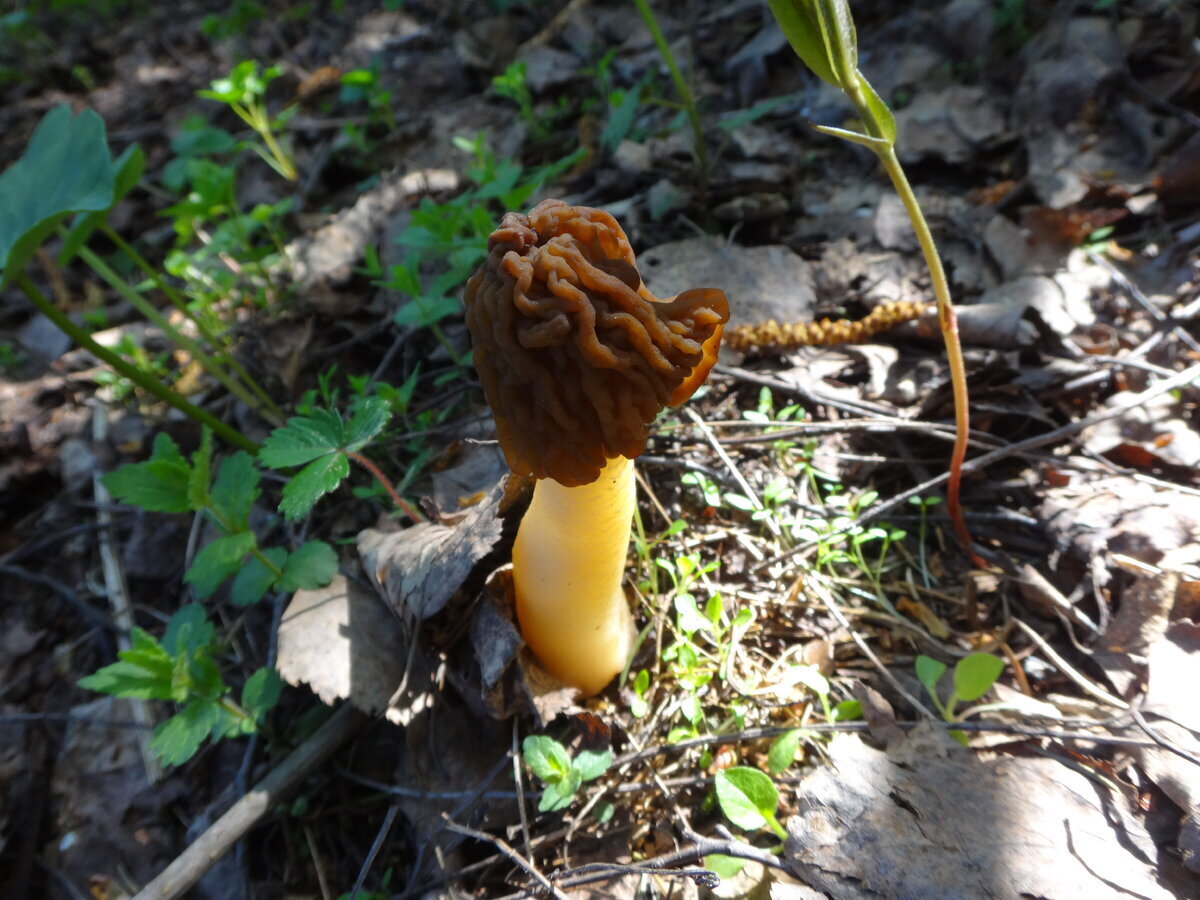 Автор фото Просто Окса