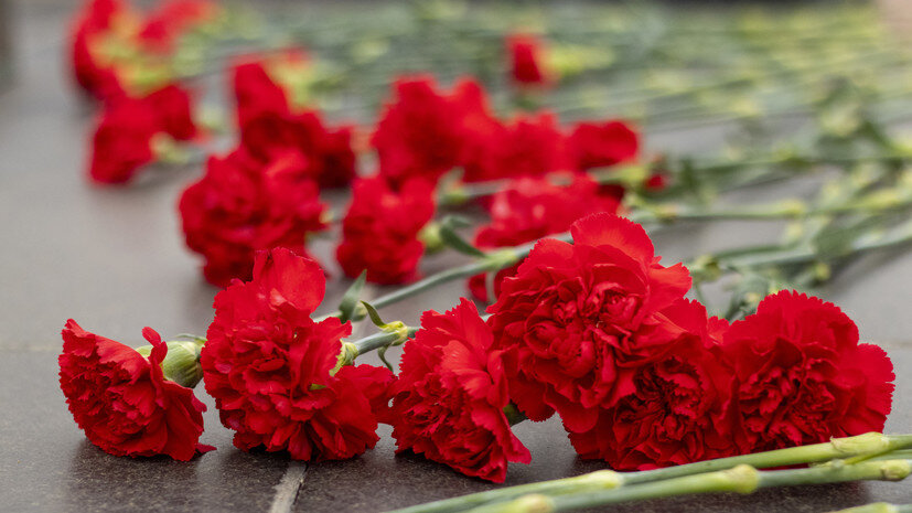   Gettyimages.ru Victoria Kotlyarchuk