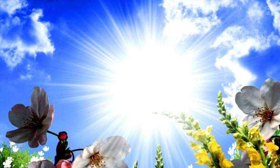 "Умершие забирают с собой цветы на тот свет..." Реальные истории