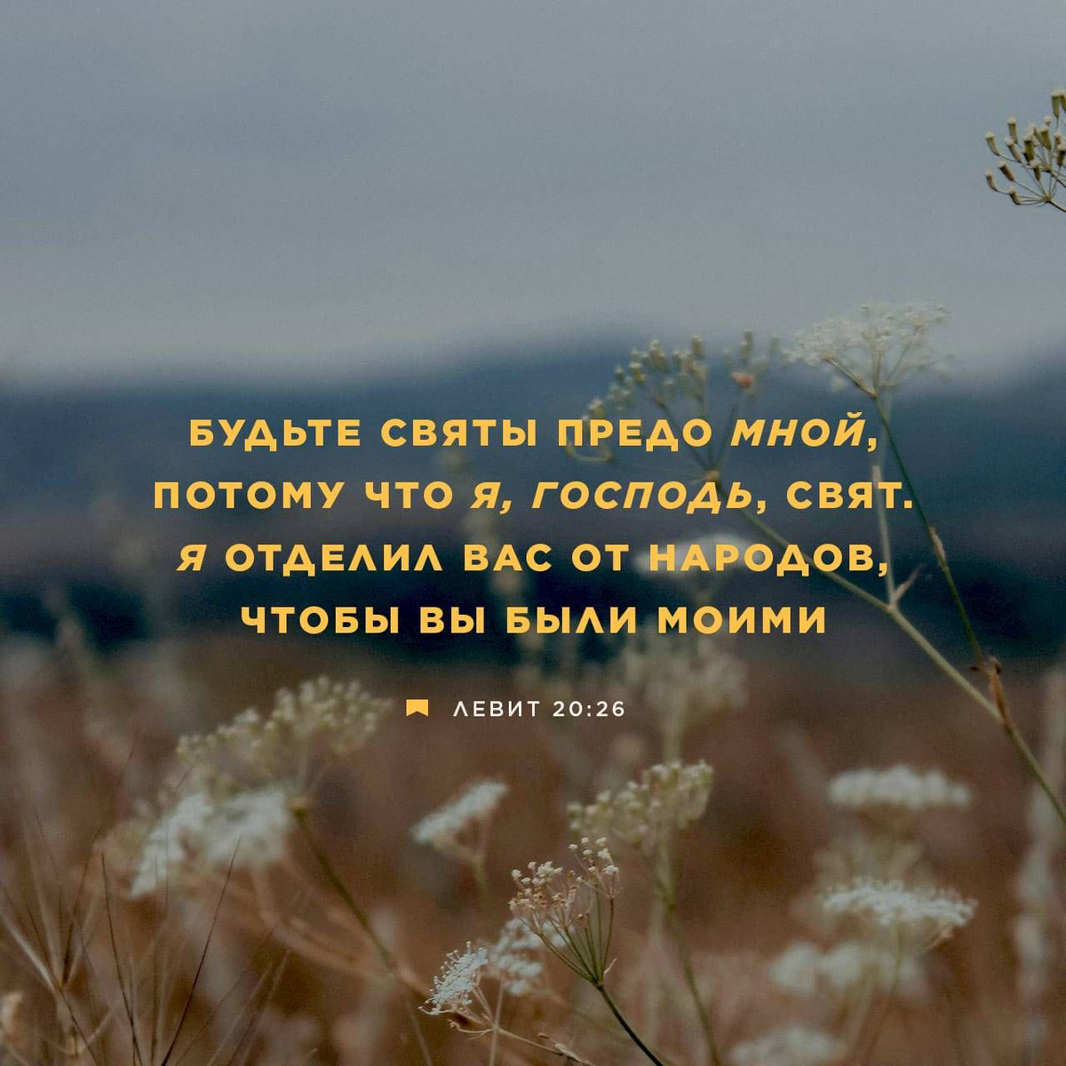 Левит 20:26
