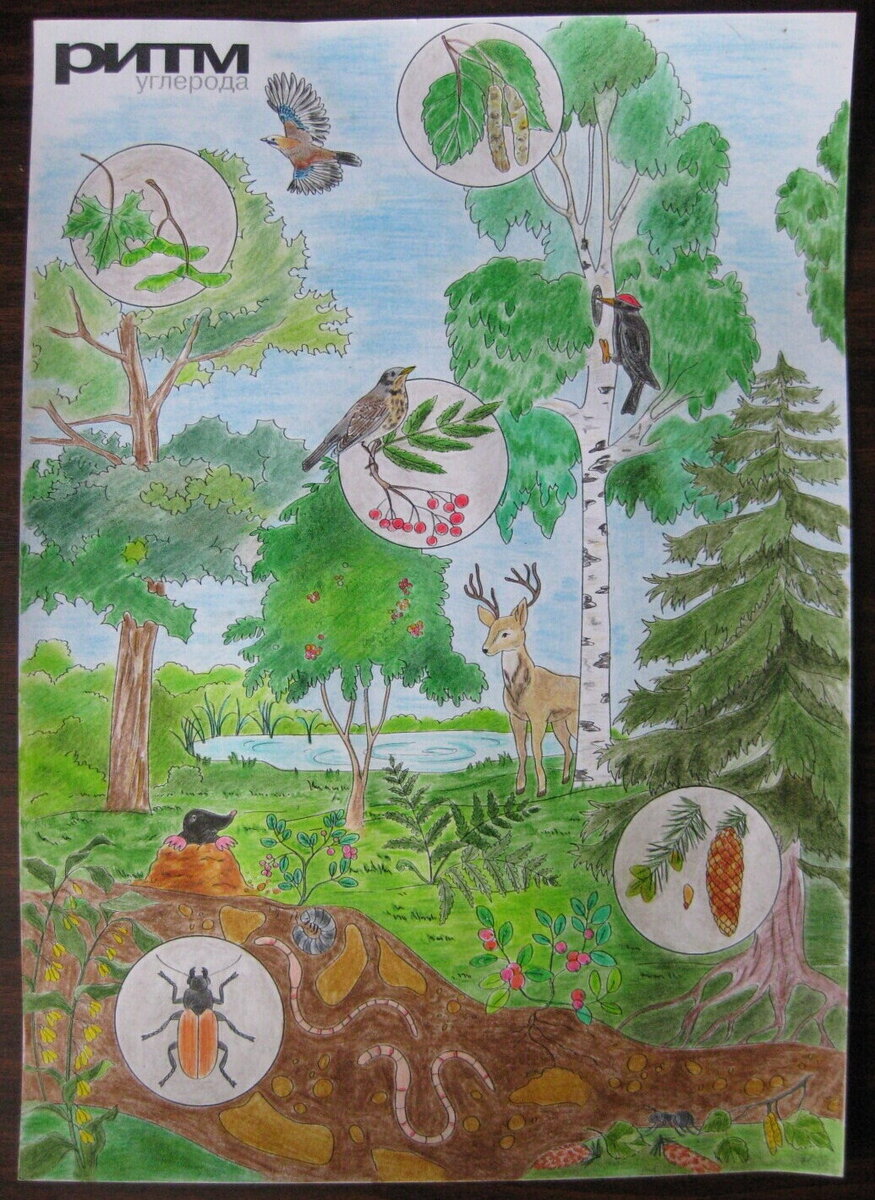 Попова Юлия, 46 лет