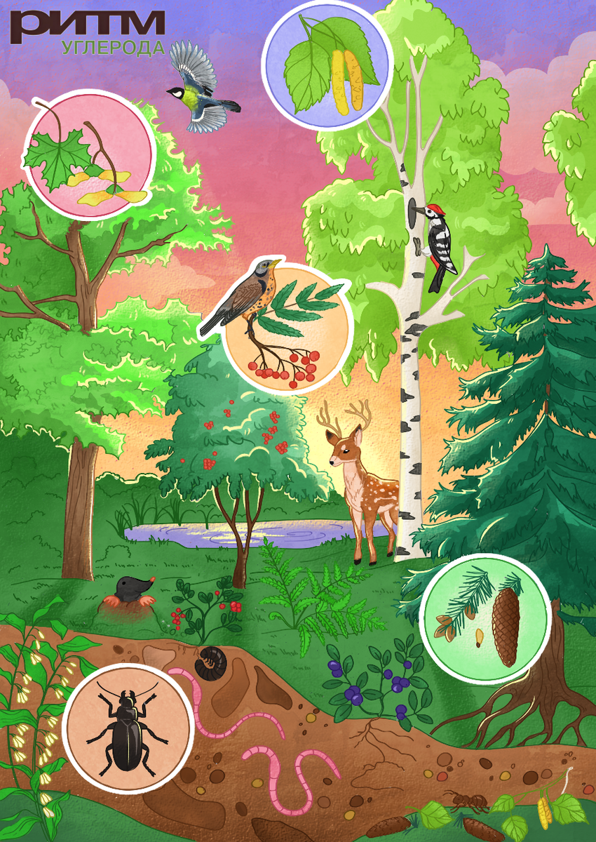 Горбачева Екатерина Ивановна, 20 лет