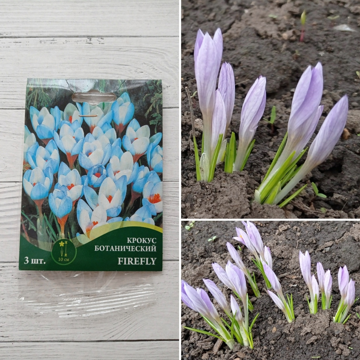 Коллаж автора