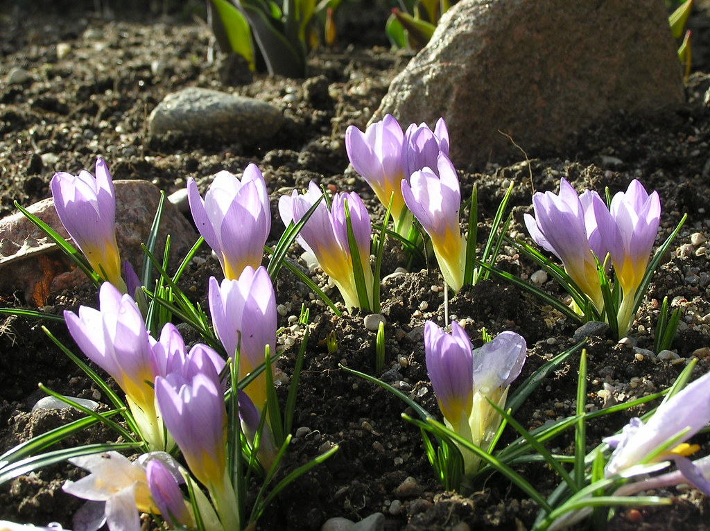 Фото с инета