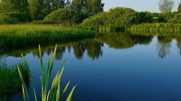     Минприроды добавит в комплекс «Старозагородный» участок между двумя озерами после экологического обследования, которое подтвердит его особо ценное значение для сохранения природных комплексов.