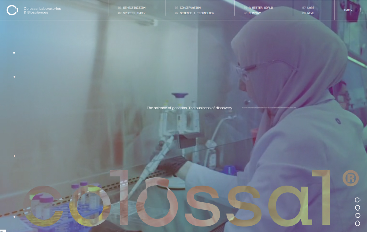 Зловещие дамы в парандже и с пробирками....