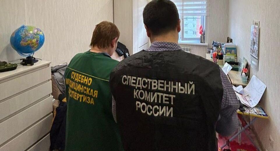     Следственный комитет Чувашии / Telegram