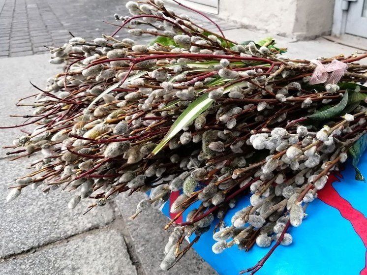     Фото: "МК в Питере".