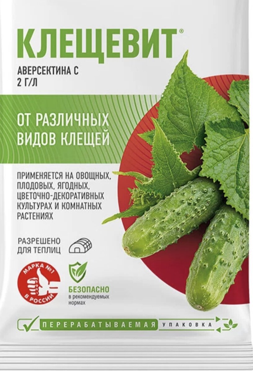 Клещ на смородине. Обрабатываем срочно | Гортензии, хвойные, 🌷любимый ...