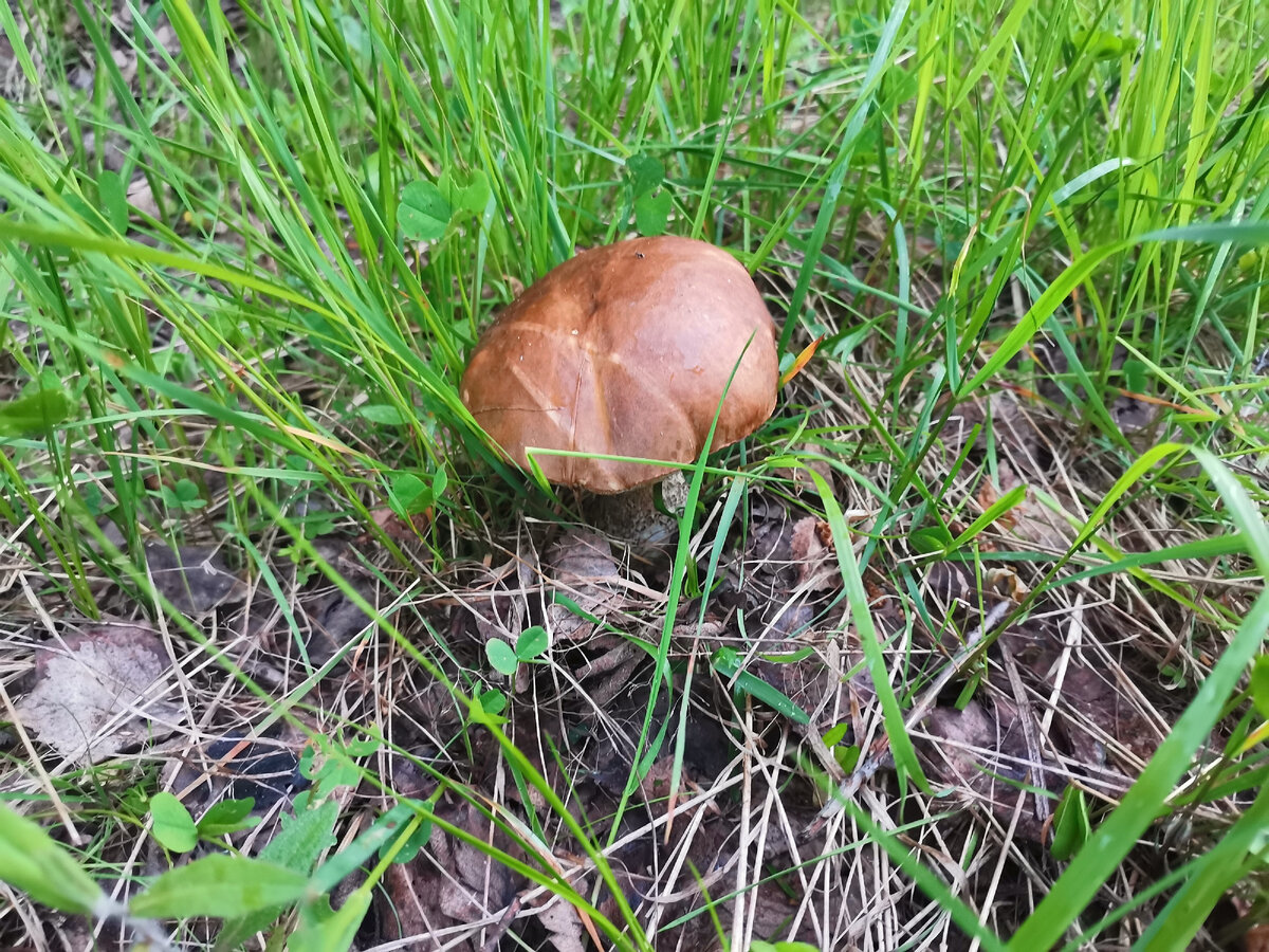 почти на дороге...