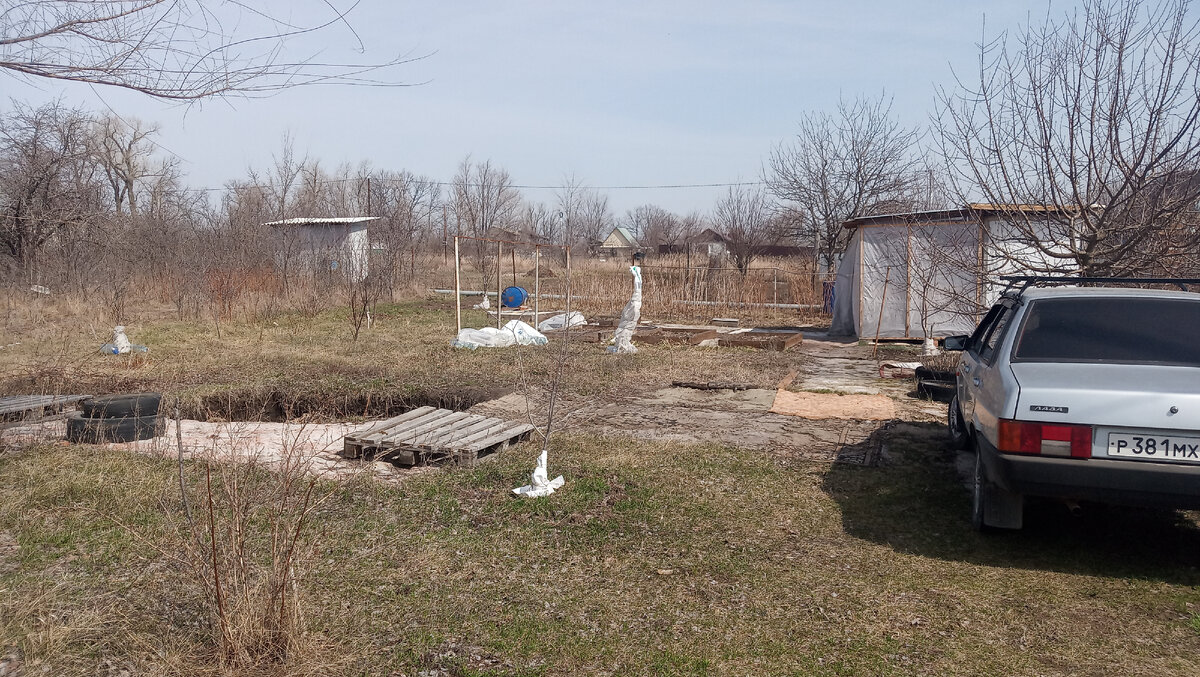 Наш дачный участок. Начало сезона. Фото автора