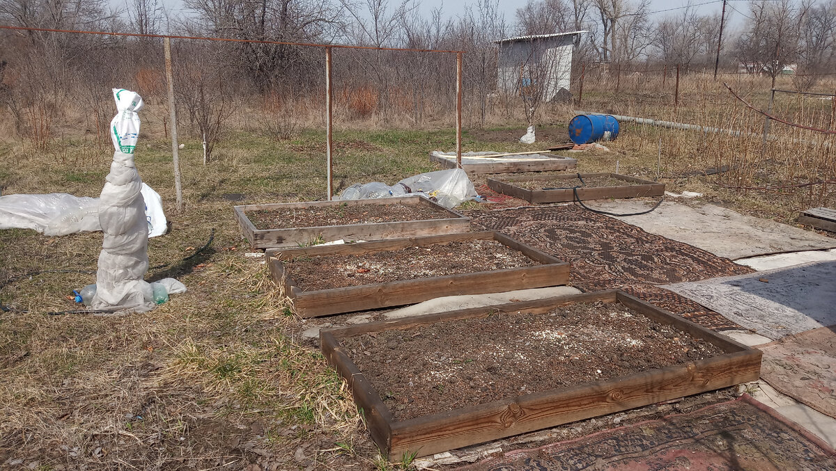 Наши высокие грядки. Второй сезон. Фото автора