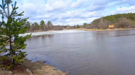 Замор рыбы на реке Аять – результат зимнего кислородного голодания?