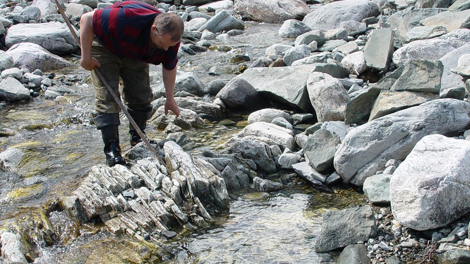 Что такое природная ловушка золота и как она выглядит?