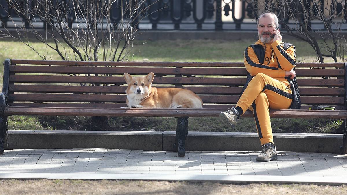    Фото: Артур Новосильцев / АГН Москва