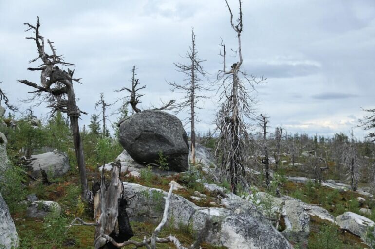 Гора Воттоваара. Фото из интернета