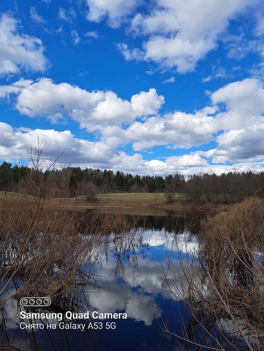 Половодье на реке Тосна.