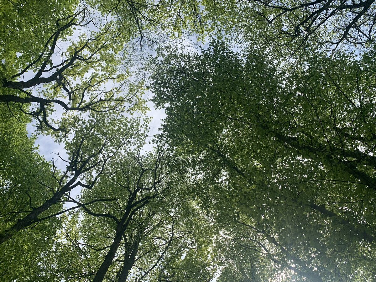 Где-то по пути на хребет 🙂 фото автора