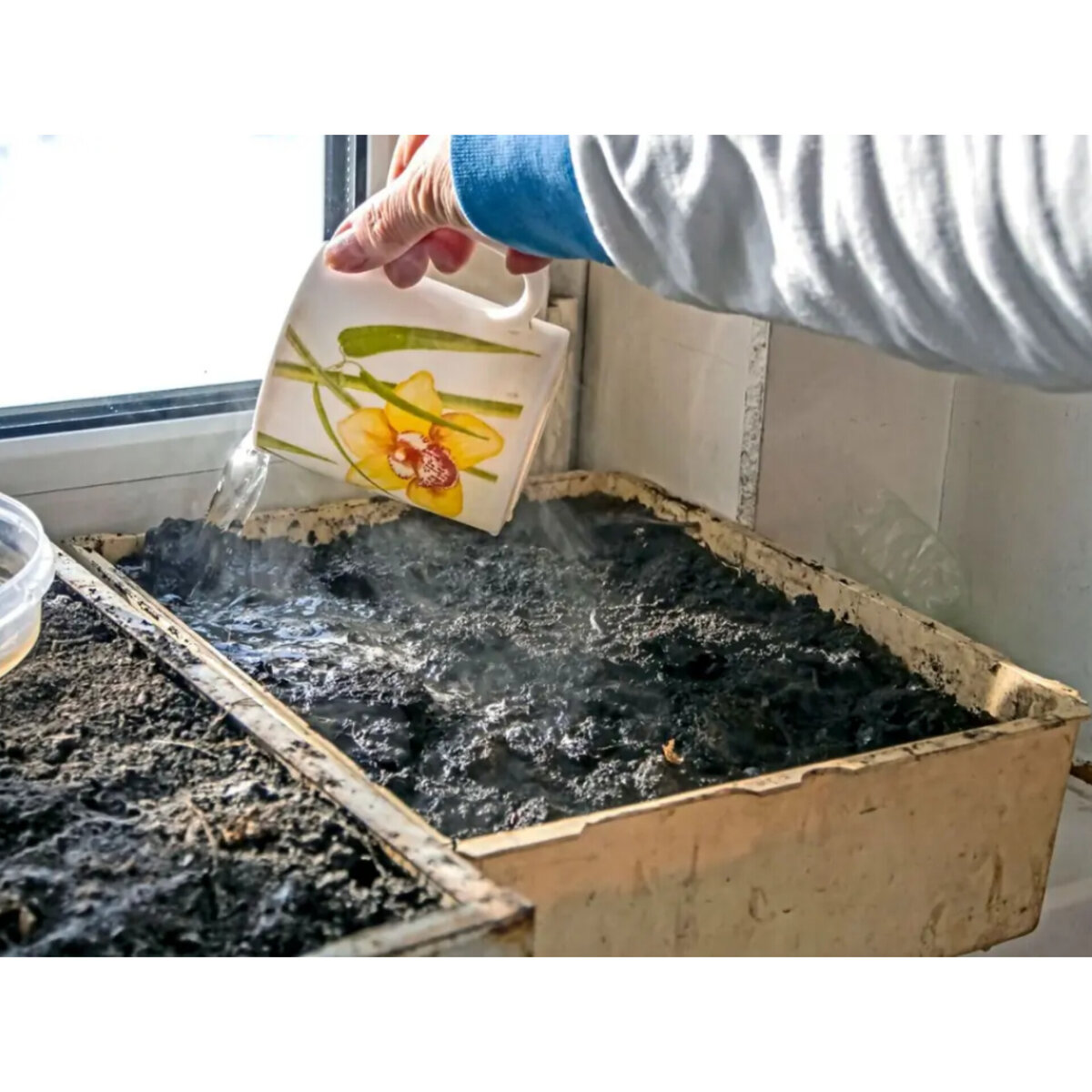 Источник: https://ru.almanacfarmer.com/19062279-plants-and-boiling-water-how-to-use-boiling-water-in-the-garden