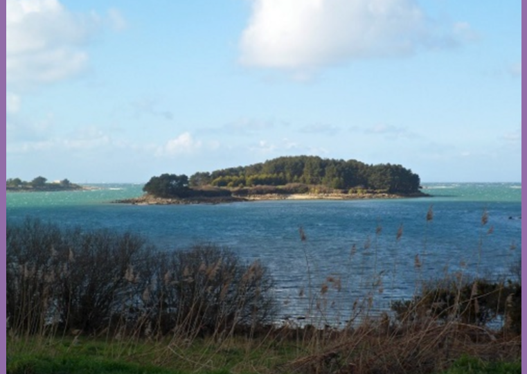 Нашла реальный остров Авалон, где, по легенде, могла находиться могила короля Артура