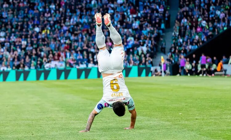    Источник фото: ФК «Зенит»