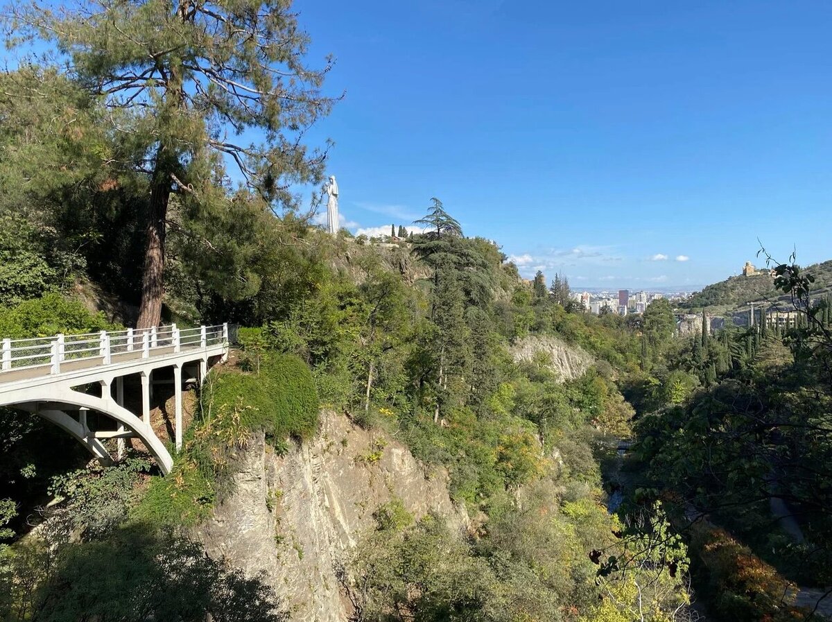 Рядом с районом находится Ботанический сад — парк с красивыми мостами и водопадом. Поблизости вы также увидите монумент Мать-Грузия и крепость Нарикала. Фото: Лина / Яндекс Карты