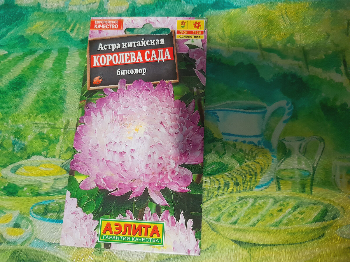 Какие семена цветов я купила для посадки в 2024 году. Обзор. | Капаха  Мукбанг: жизнь и путешествия | Дзен