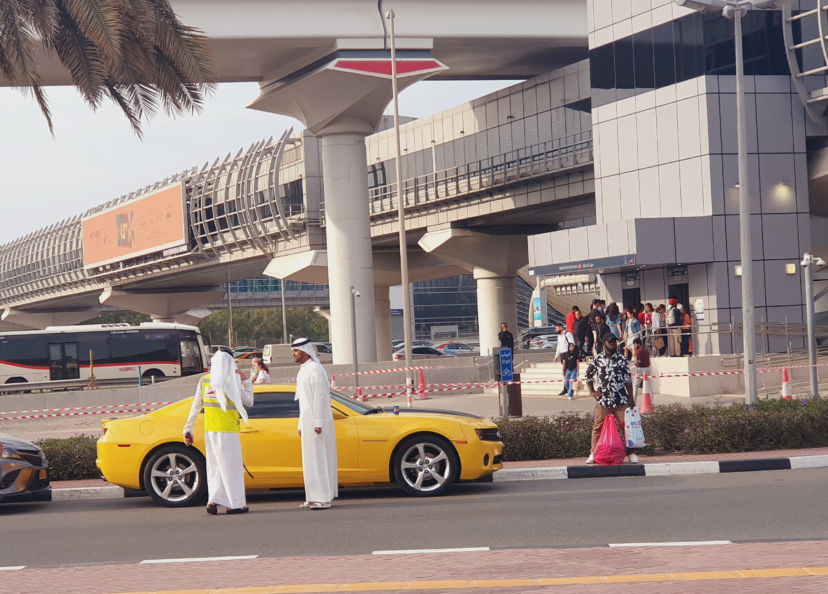 Красавцы в белой одежде