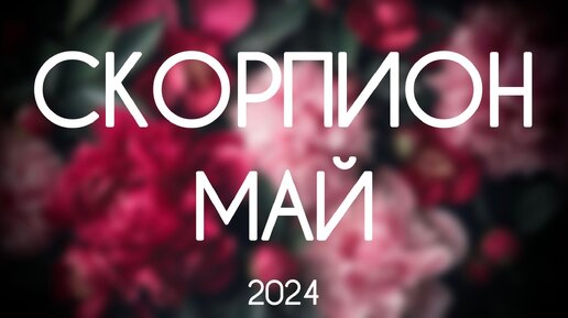 Скорпион ♏️ Чего ждать в Мае 2024. Таро Гороскоп