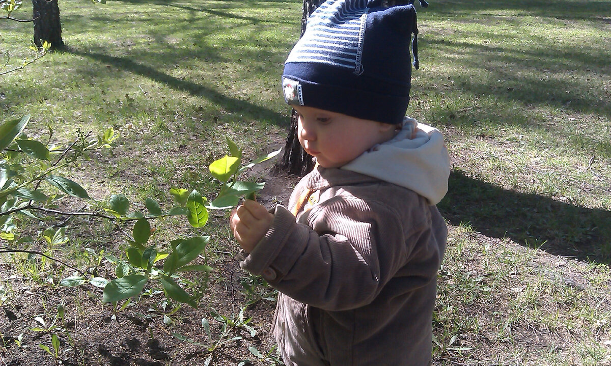 Это мой старший сын Егор 2014г, самостоятельно изучает, гуляет, падает, встает, я всегда рядом, в сторонке "на подхвате")). 