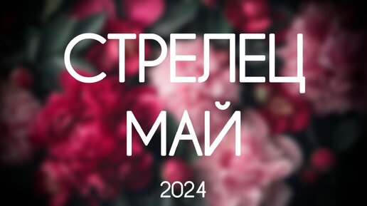 Стрелец ♐️ Каким будет Май 2024. Гороскоп на Таро