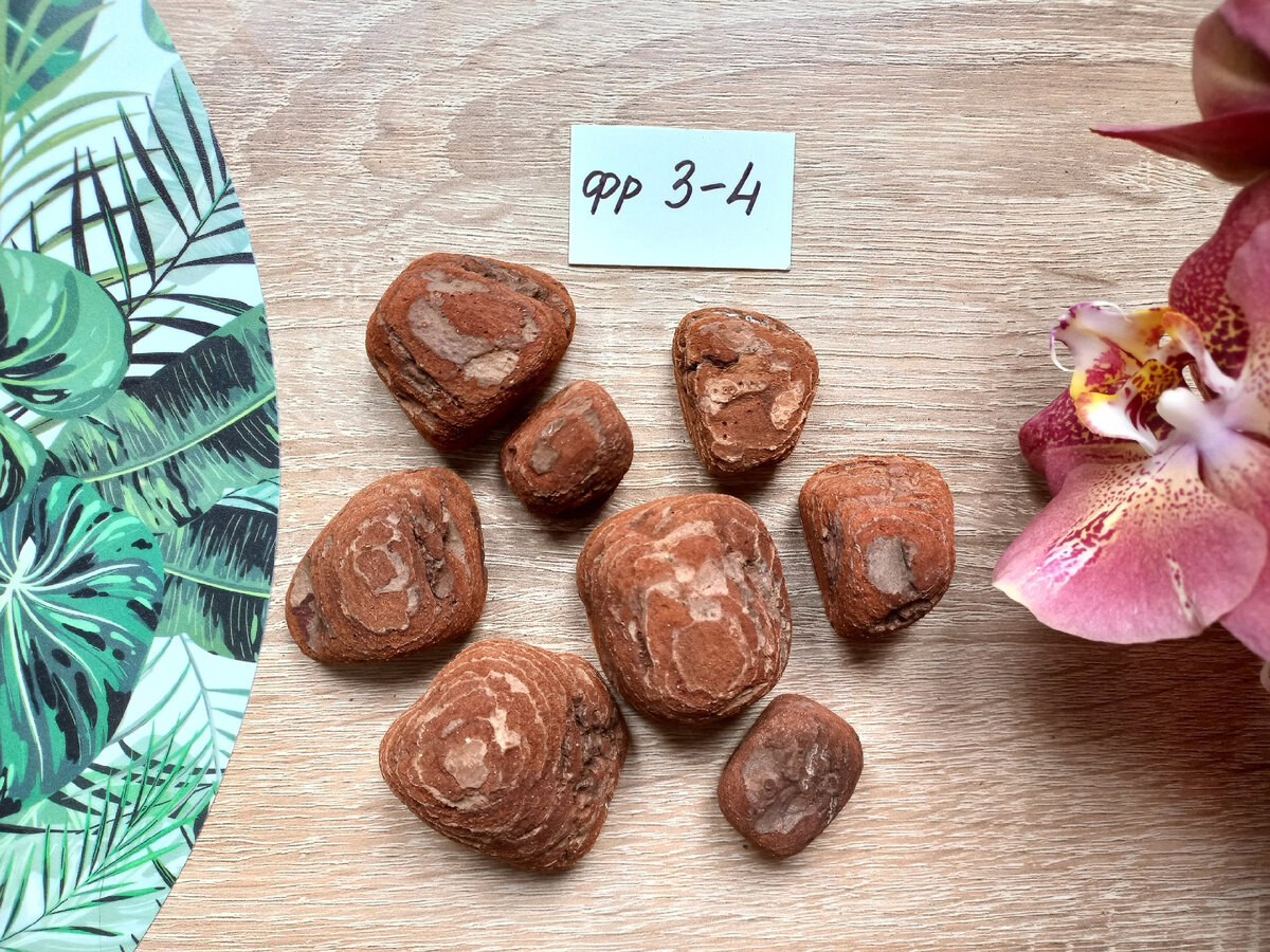 Кора фракции (3-4)