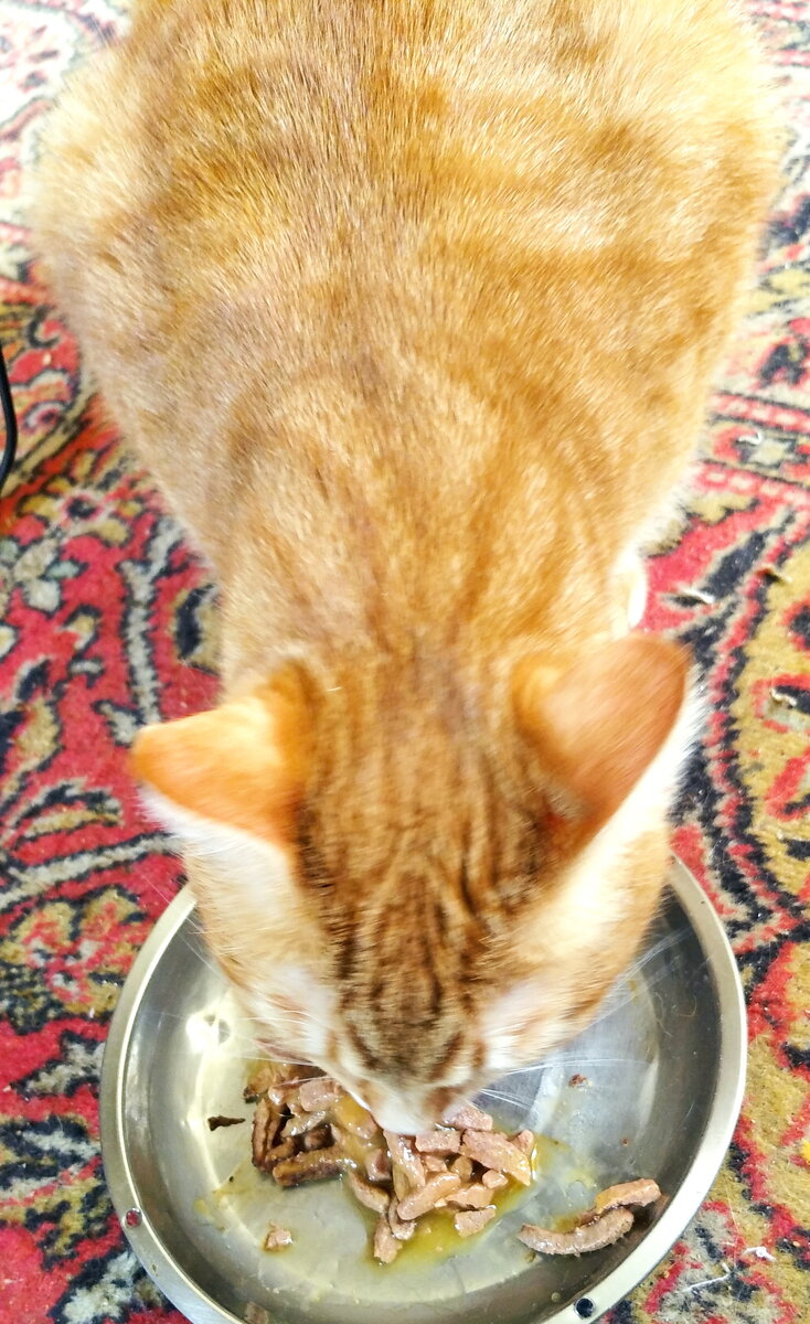 Личное  фото.