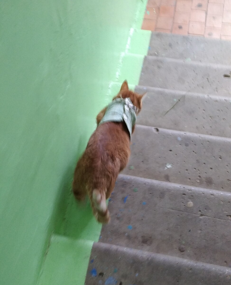 Личное  фото.