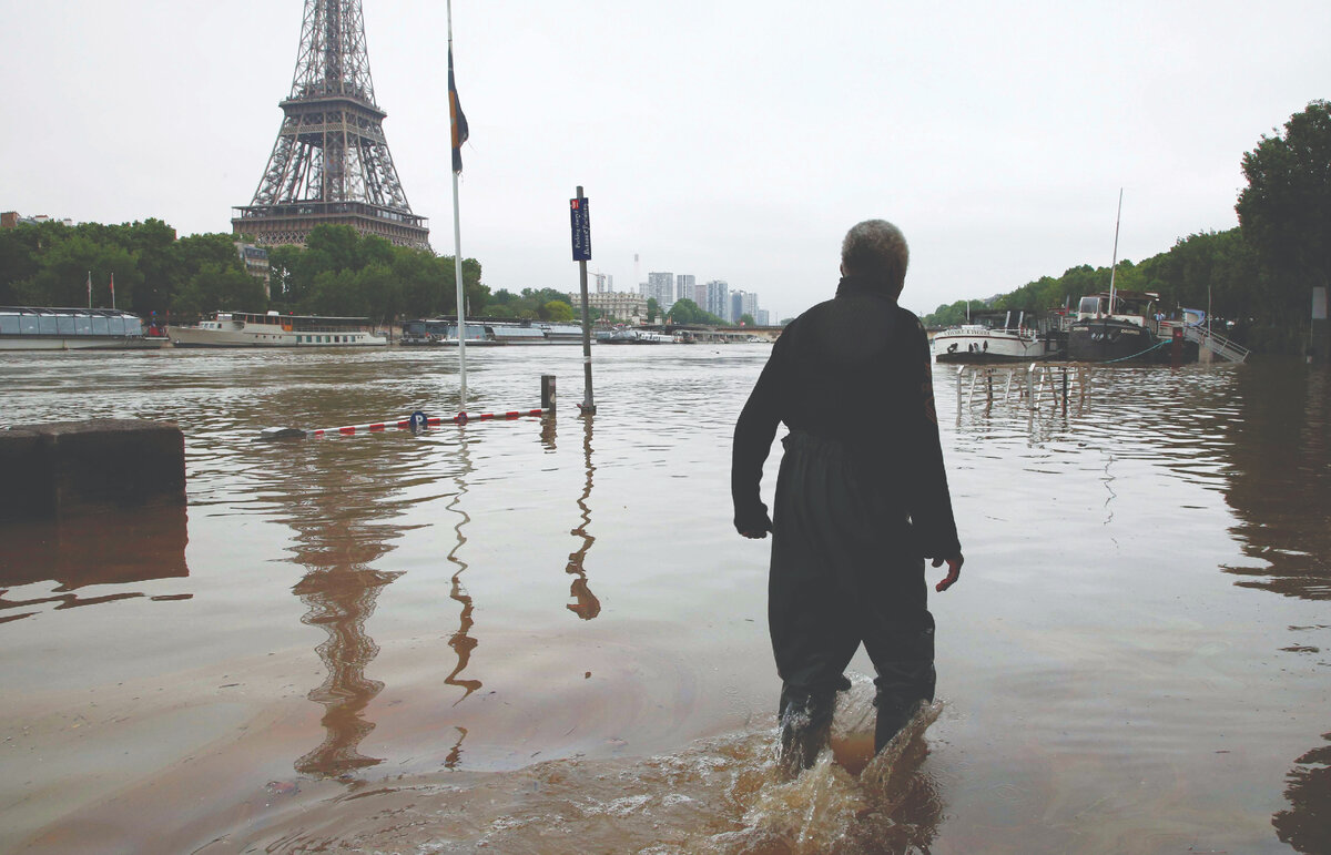 Водные виды