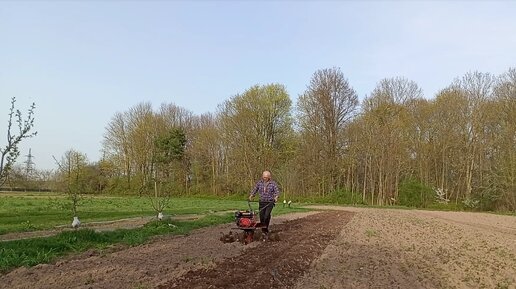 Подготовка участка к посадке картошки.